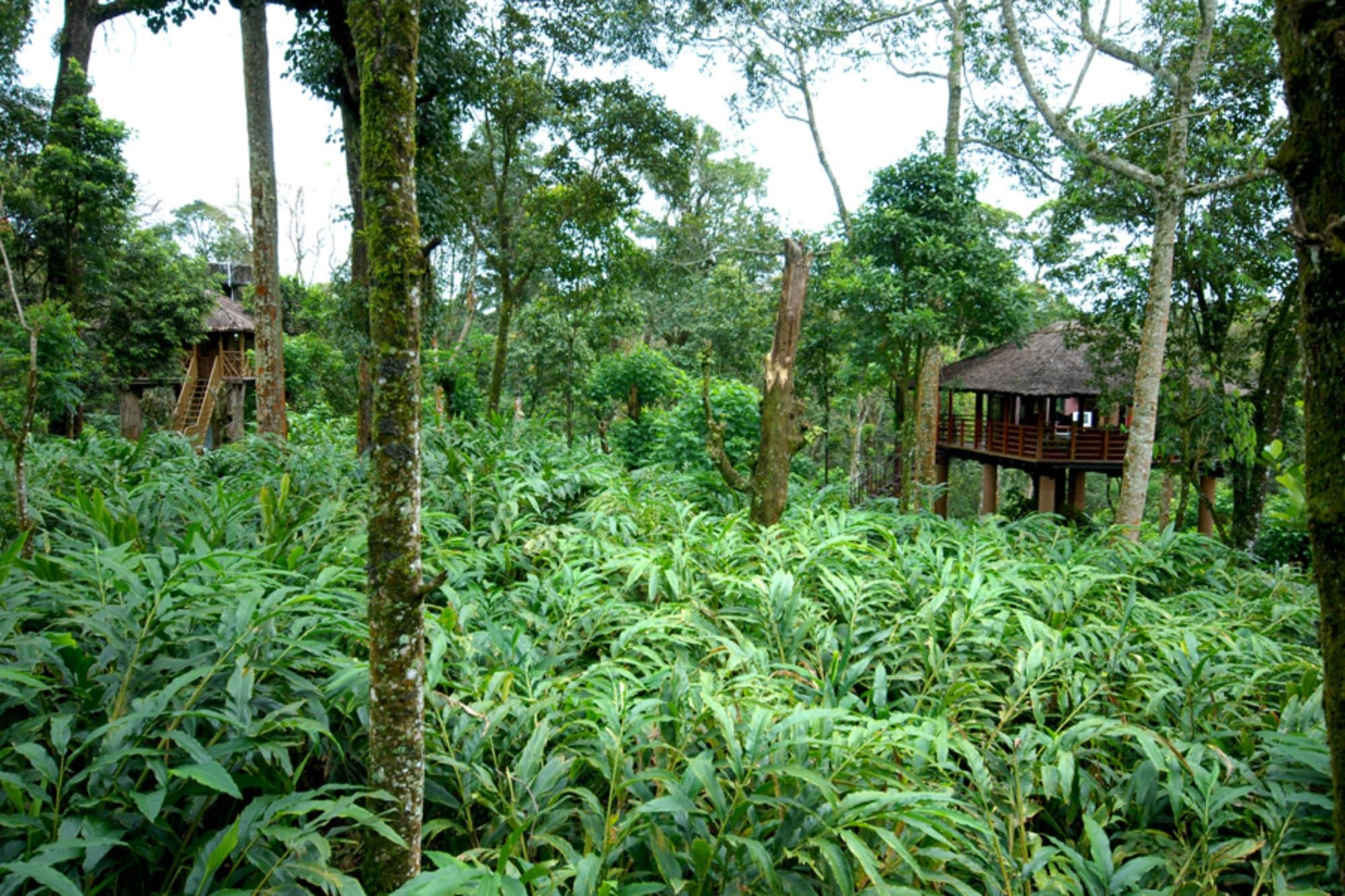 Carmelia Haven Resort Thekkady Buitenkant foto