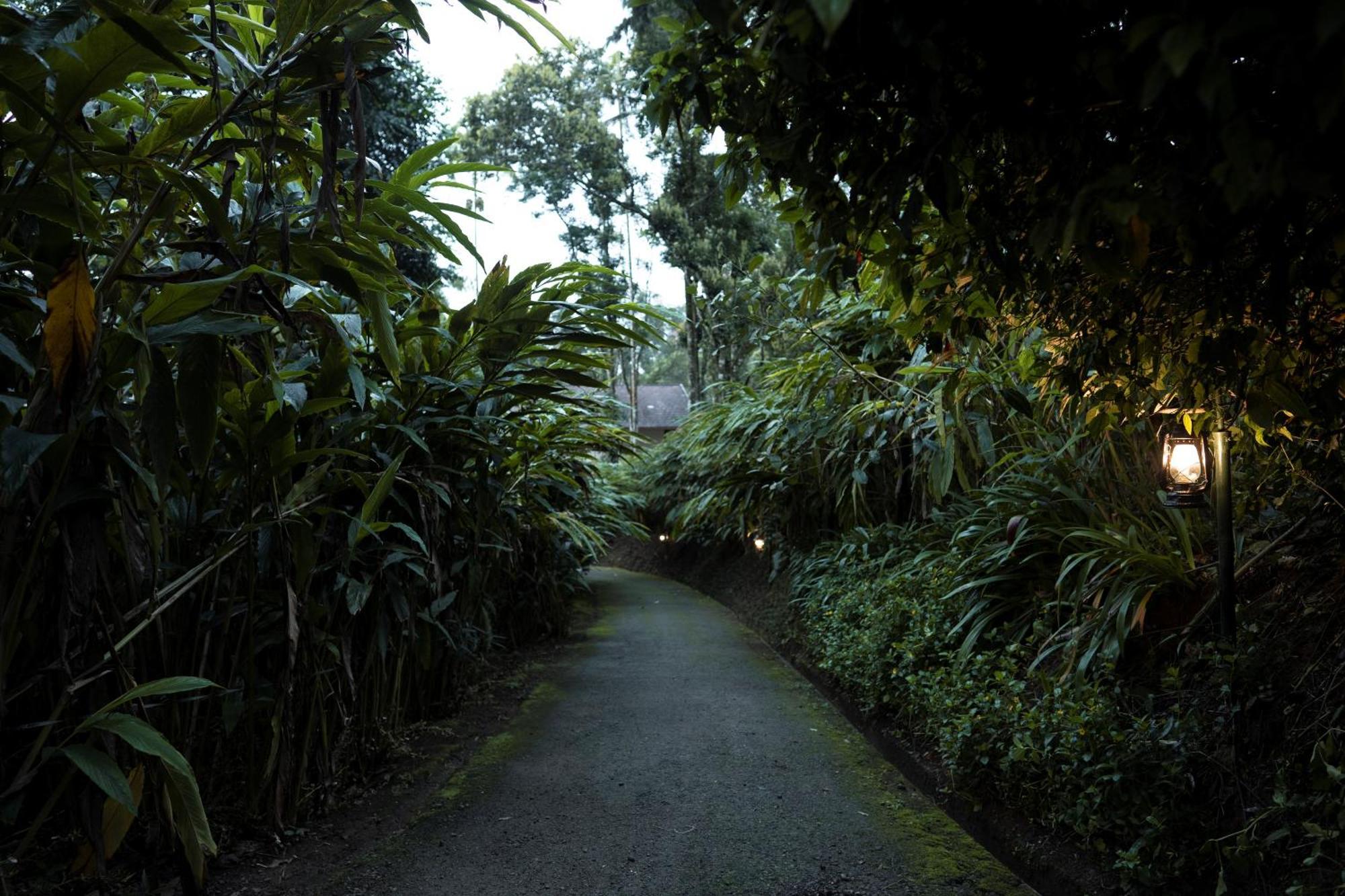 Carmelia Haven Resort Thekkady Buitenkant foto