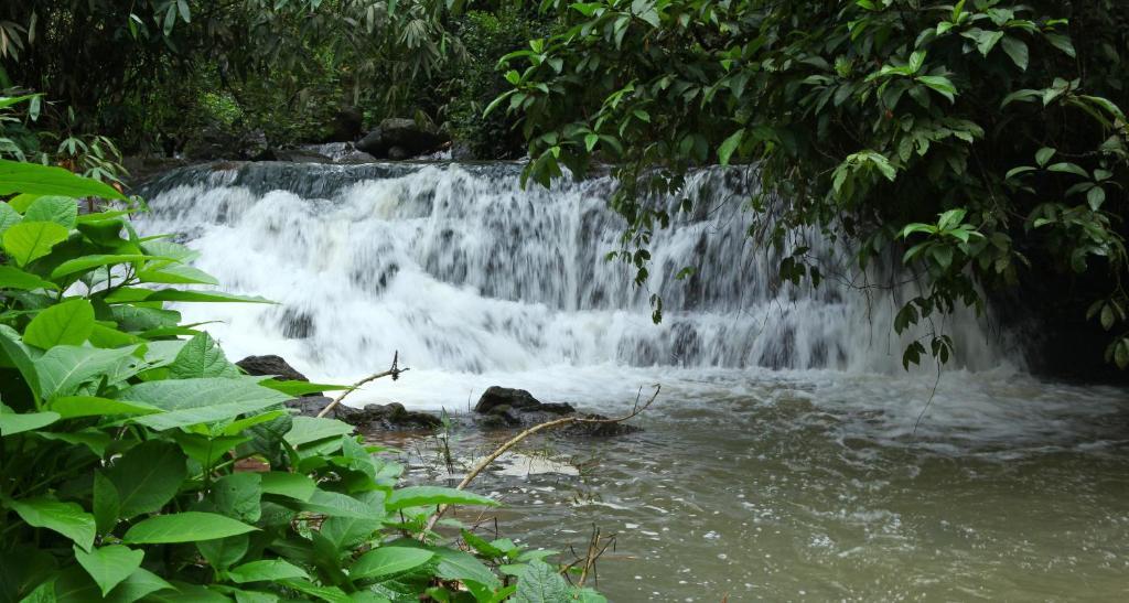 Carmelia Haven Resort Thekkady Buitenkant foto