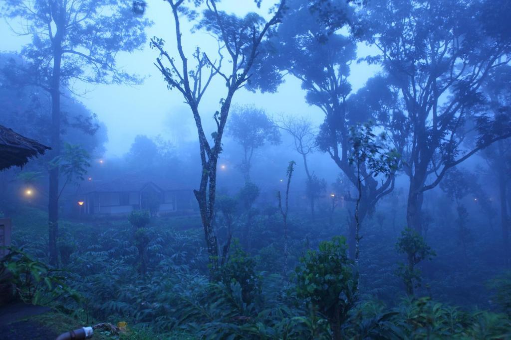 Carmelia Haven Resort Thekkady Buitenkant foto